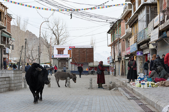 India & Stok Valley