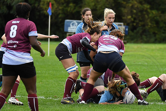 2016-110-19 Sugby v Canterbury